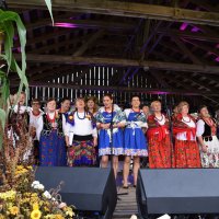 Zobacz w powiększeniu: Dożynki Powiatowe Baranów 2021 (27)